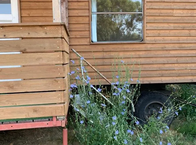 Bauwagen Mit Gemeinschaftsbad Konukevi